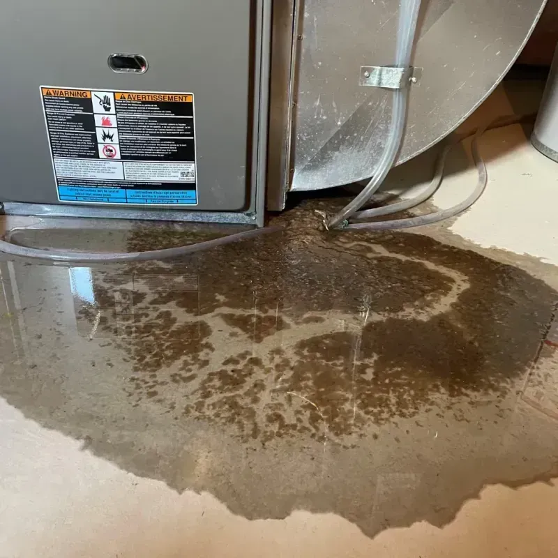 Appliance Leak Cleanup in Monona, IA